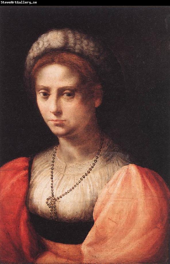 PULIGO, Domenico Portrait of a Lady agf